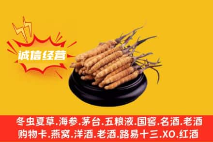 鹰潭余江区回收冬虫夏草